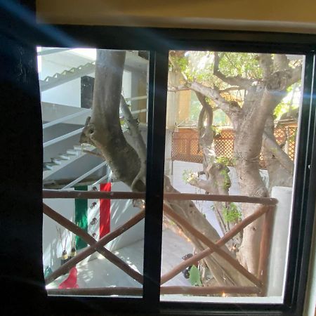 Why Not Rooftop Party Hostel Playa del Carmen Exterior photo